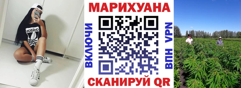Бошки марихуана Amnesia  Абаза 